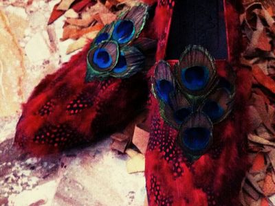 Real paecock feathers